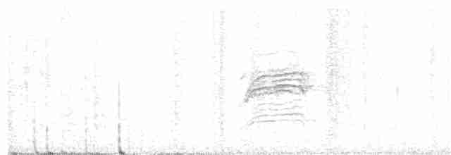 Дрізд-короткодзьоб плямистоволий - ML106548691
