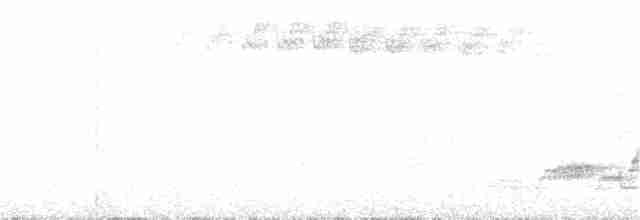 Дрізд-короткодзьоб Cвенсона - ML106569011