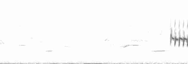 Скальный крапивник [группа obsoletus] - ML106609
