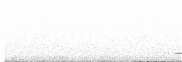 Thicket Tinamou - ML106774391