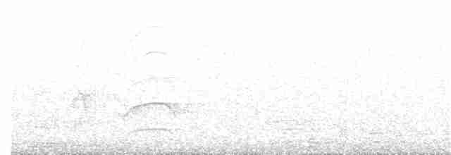 Thicket Tinamou - ML106774401