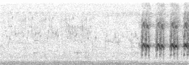 Alción de Esmirna - ML106806771