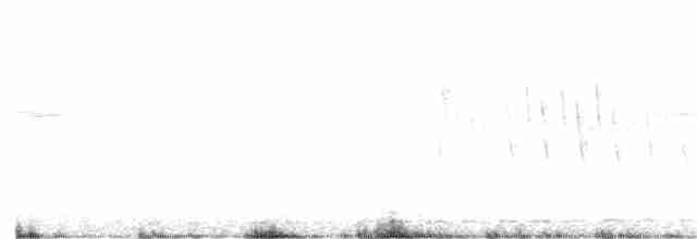 Common Gallinule - ML106810991
