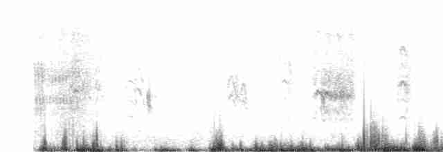 Black Tern - ML106811041
