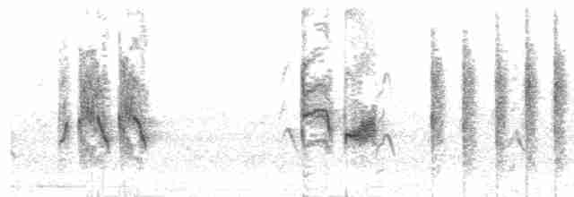 ML106915591 visualization