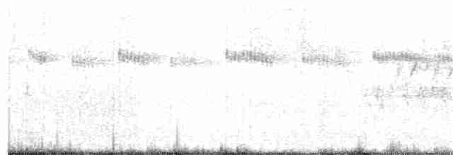 Широкохвостый колибри - ML106928251