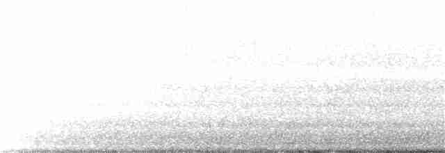 kajka mořská (ssp. dresseri) - ML106975701