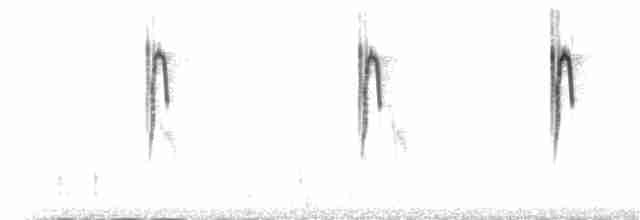 cistussanger (juncidis gr.) - ML107025481