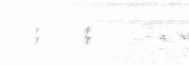 Oriole des vergers - ML107136751