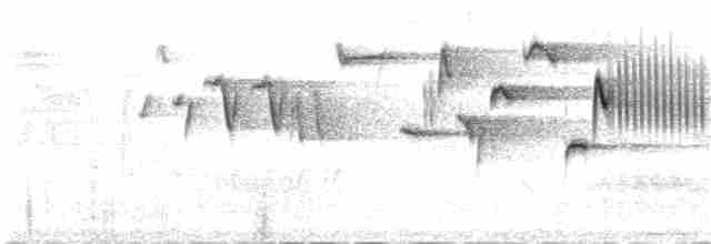 střízlík obecný [skupina troglodytes] - ML107201971