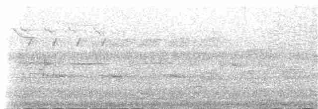 クロジョウビタキ（gibraltariensis／aterrimus） - ML107211501
