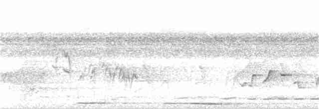 Борнейская воронья кукушка - ML107231681