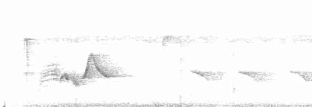 White-eyed Vireo - ML107244701
