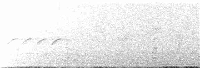 Короткоклювый бекасовидный веретенник - ML107337811