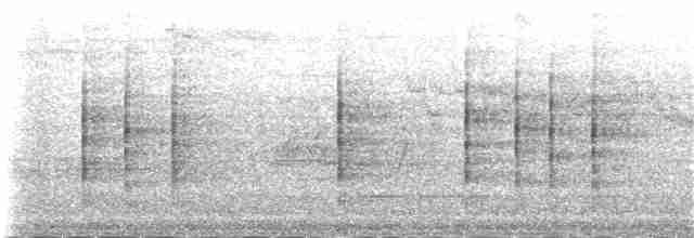 rehek domácí (ssp. gibraltariensis/aterrimus) - ML107383941