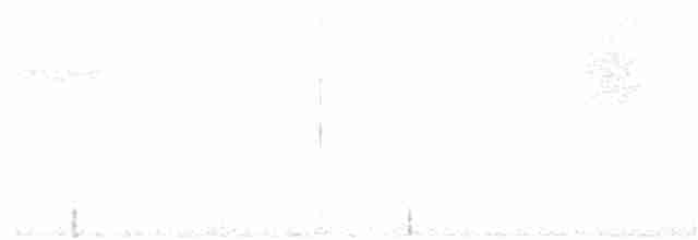 Ural Baykuşu - ML107386121