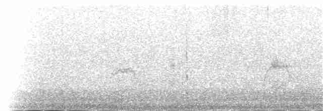 Снежный вьюрок - ML107387441