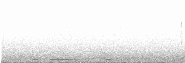Eurasian Collared-Dove - ML107396591