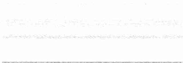 Thicket Tinamou - ML107400511