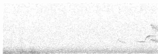 Cinclosome pointillé - ML107405701