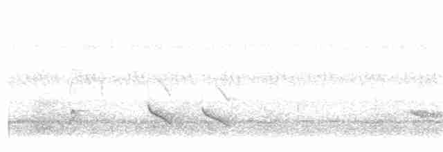 Weißkehl-Ameisenschlüpfer - ML107437441