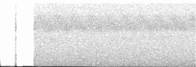 holub světleoký - ML107466221