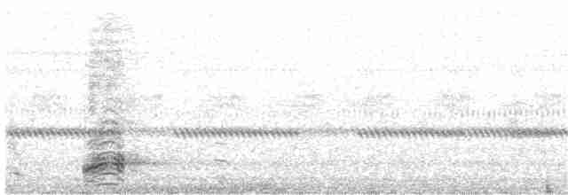Black-crowned Night Heron - ML107520151