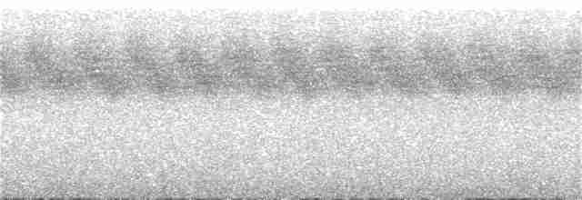 Gray Wagtail - ML107525561