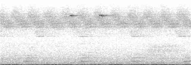 Снежнобровая мухоловка - ML107526211