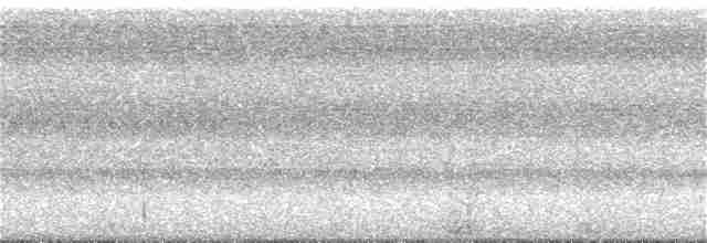 holub světleoký - ML107526801