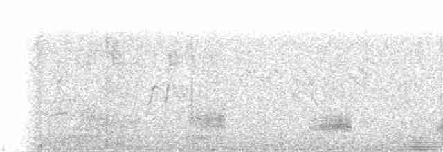 Пестроносая кряква - ML107528301
