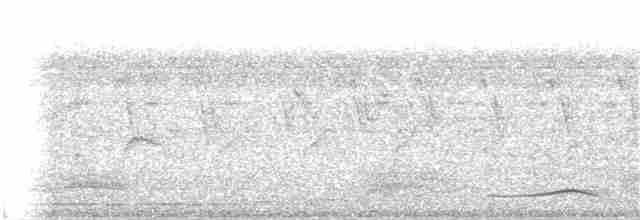 Пестрокрылая йора - ML107532851