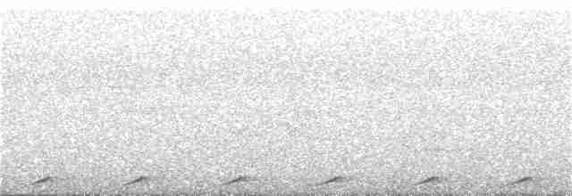 holub světleoký - ML107549271
