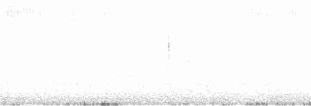 Bruant à couronne blanche (gambelii) - ML107575481