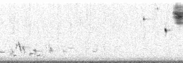 Çekirge Sesli Çayır Serçesi - ML107615