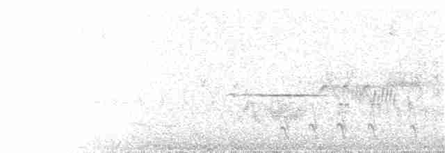 Porsuk Serçesi (oriantha) - ML107620821