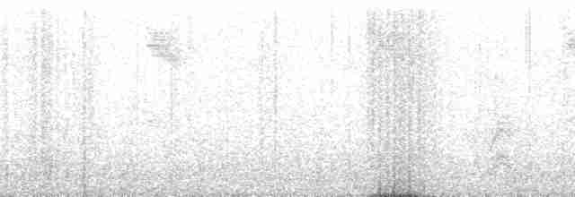 holub pruhoocasý [skupina fasciata] - ML107629