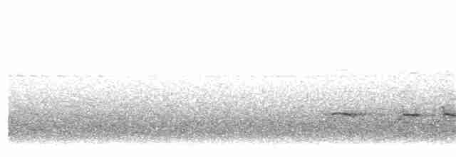 Strichelschulter-Ameisenschnäpper - ML107633441