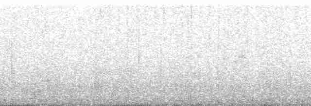 Bant Kuyruklu Güvercin [fasciata grubu] - ML107638
