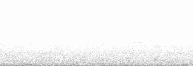 bånddue (fasciata gr.) - ML107657