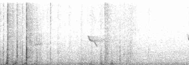 bånddue (fasciata gr.) - ML107658