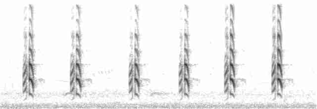 ハジロオオシギ（semipalmata） - ML107658001