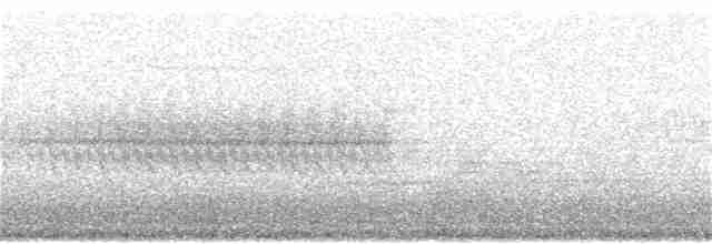 Дрізд-короткодзьоб Cвенсона - ML107667041