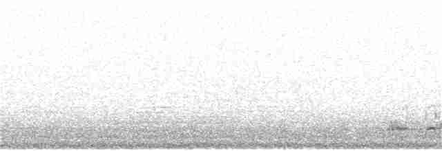 Дрізд-короткодзьоб Cвенсона - ML107667431