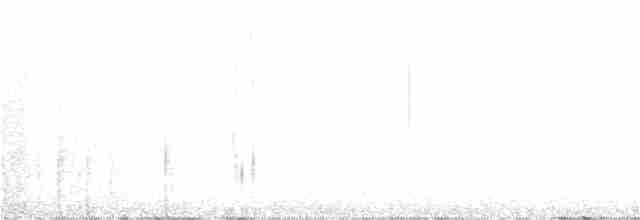 Зяблик гран-канарський - ML107673931