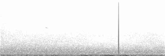 Kanaria Handiko txonta urdina - ML107673971