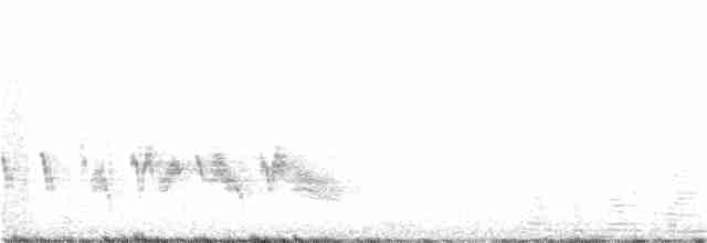 Большой пёстрый дятел (canariensis/thanneri) - ML107676771