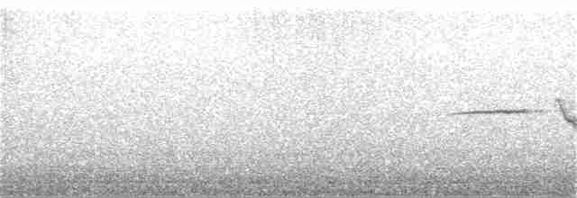 Münzevi Bülbül Ardıcı - ML107813811