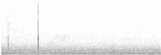 Black-throated Green Warbler - ML107860201
