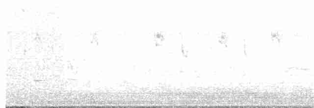 Bécasseau à croupion blanc - ML107882291